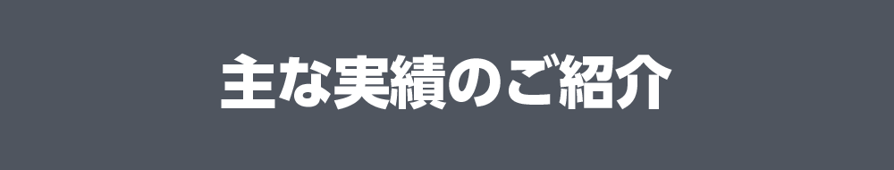 主な実績のご紹介